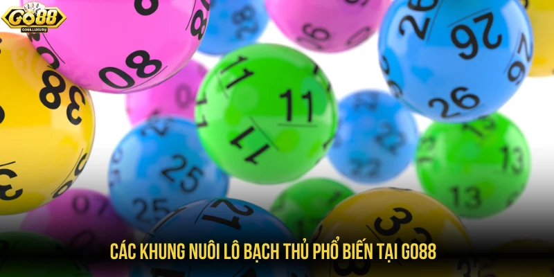 Các khung nuôi lô bạch thủ phổ biến tại GO88