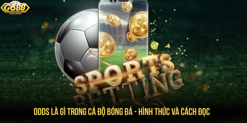 Odds là gì trong cá độ bóng đá - Hình thức và cách đọc
